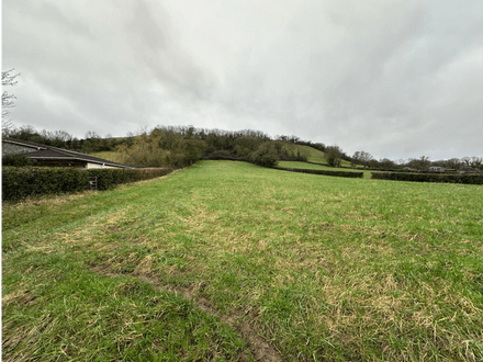 Pasture and woodland at Henton